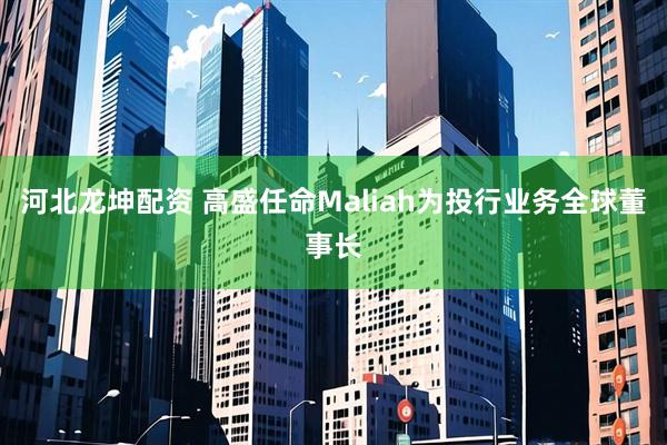 河北龙坤配资 高盛任命Maliah为投行业务全球董事长