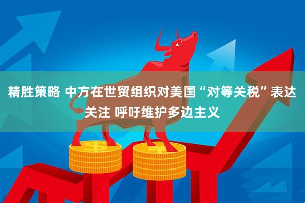 精胜策略 中方在世贸组织对美国“对等关税”表达关注 呼吁维护多边主义